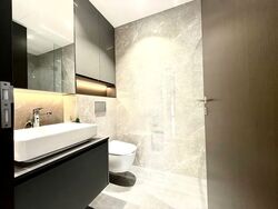 Fortune Park (D19), Condominium #553783331